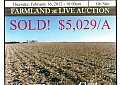 FARM EQUIPMENT - COLLECTIBLE TRACTORS - PARTS - MISCELLANEOUS